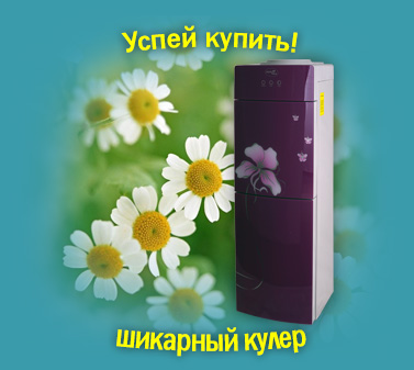 Успей купить
