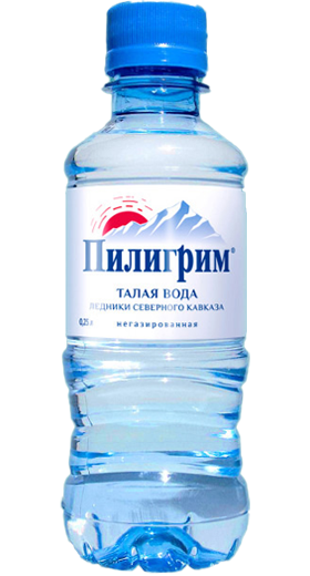 картинка Пилигрим негаз 0,25*8шт  от магазина  Настоящая вода