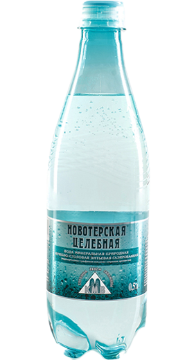 картинка Новотерская 0,5л*6шт от магазина  Настоящая вода