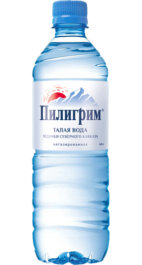 картинка Пилигрим негаз 0,5х12 шт от магазина  Настоящая вода