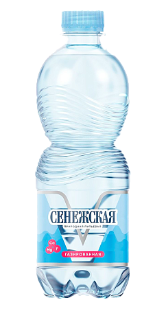 Вода "Сенежская" газированная 0,5л*12шт #1