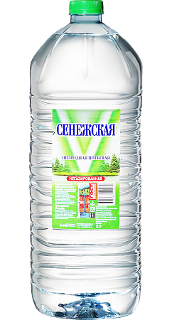 Вода «Сенежская» негаз 5 л * 2 шт #1