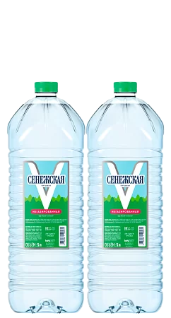 Вода  «Сенежская» негаз 5 л * 2 шт #1